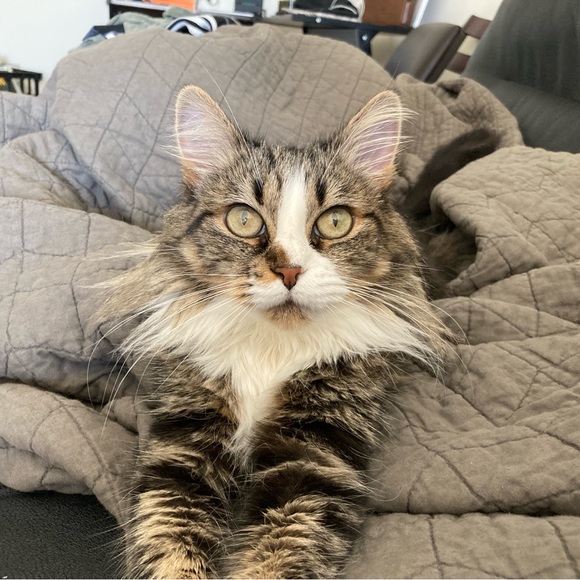 Meet your Posher, James - Picture 3 of 8